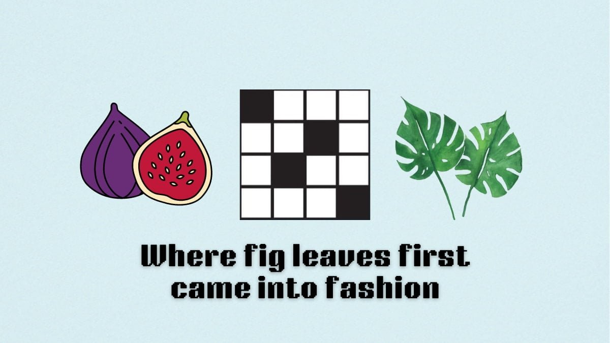 When for First Came into Fashion Nyt Crossword